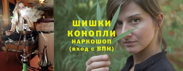 ALPHA PVP Остров