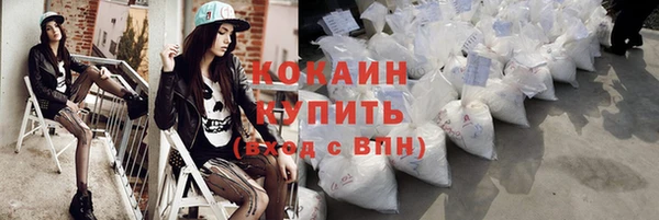 ALPHA PVP Остров
